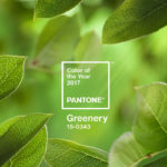 couleur pantone 2017