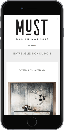 creation site mobile wordpress montpellier