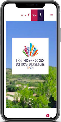 realisation site vignerons enserune