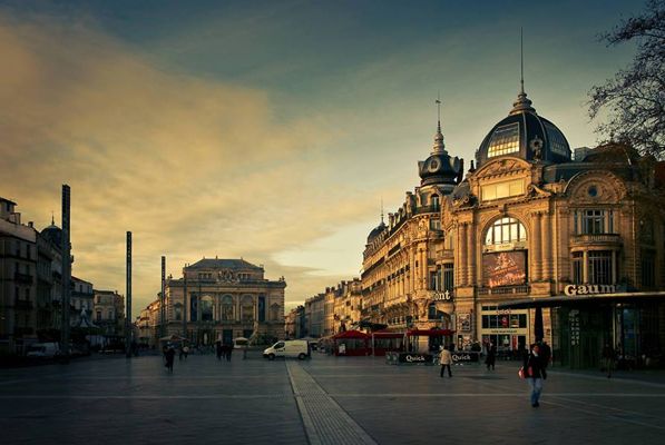 webmaster montpellier