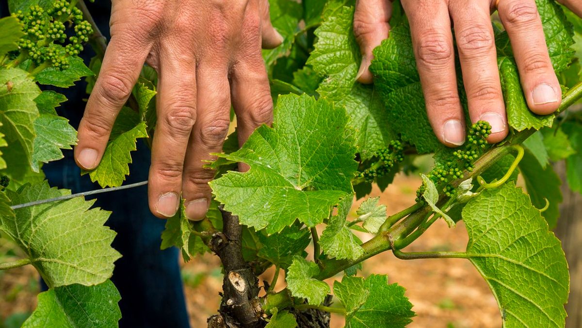 jeu concours chateau chenaie