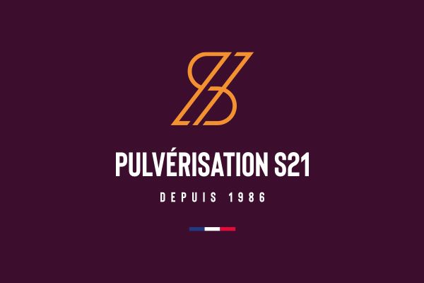 creation logotype pulverisation s21