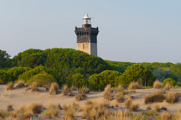 agence digitale camargue